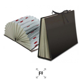 Liderpapel Carpeta Clasificadora Cartón A4 (Negro)