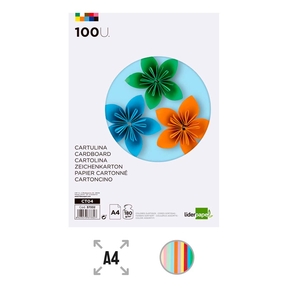 Liderpapel Cartulina A4 180 g (100 feuilles) (Couleurs assorties)