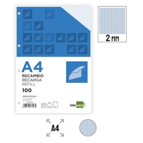 Liderpapel Papier 100 g Papier Nachfüllpackung Raster 2 mm (4-Loch gestanzt)