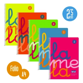 Lamela Taccuino Polipropilene / Folio (5 Pz. Assortiti)