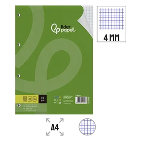 Liderpapel Recharge papier 75 g 100 feuilles quadrillées 4 mm